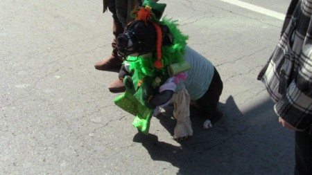 St. Patrick's Day Toronto