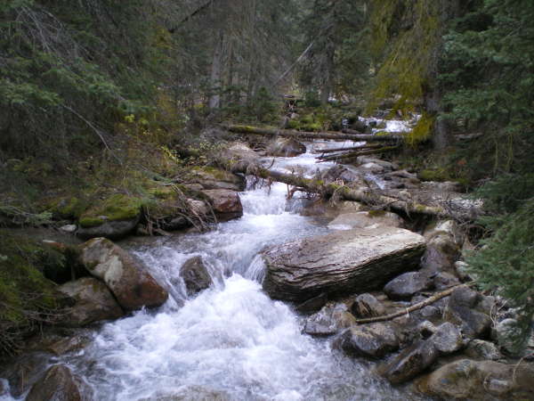 Sendero Lake Louise