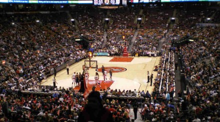 toronto raptors