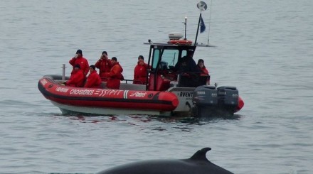 Ballenas Canada