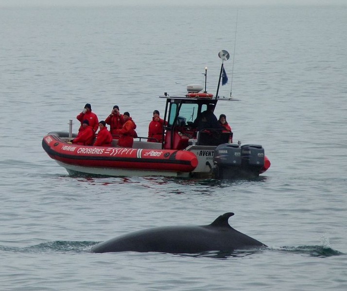 Ballenas Canada